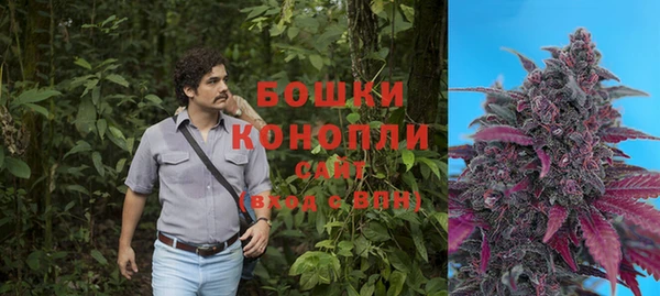 спиды Волосово
